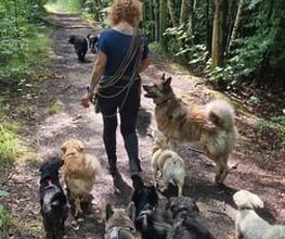 We like to Walk Bild 12