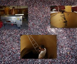 Domaine Blachon image 10