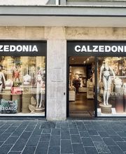 Calzedonia immagine 1