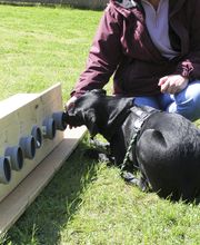 dorothea gawol Bild 4