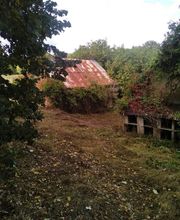 Arbo Paysagiste image 14