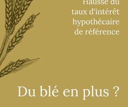 ALC Conseils Immobiliers Bild 13