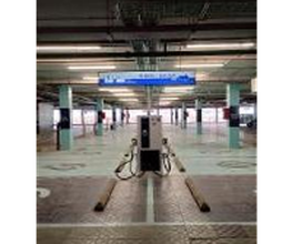 Wenea imagen 5