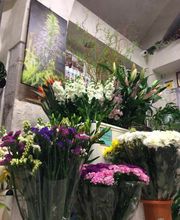 Gallery Cliente
