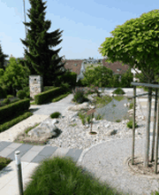 David Gartenbau AG Bild 6