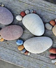 Masson Aline image 2