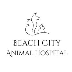 Beach City Animal Hospital