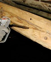 ETS BOUZAT Aude image 4