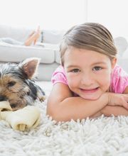 Lehigh Rug Service Carpet Cleaning Stretching Installation Area & Oriental Rug Cleaning image 1