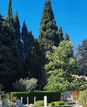 Le Clos des Cyprès-Maison d hôtes de charme et table Gourmande-Saint Rémy de image 6