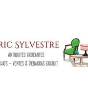 Sylvestre Eric image 3