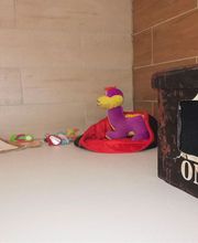 Felidog Sarl image 6