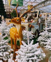 VillaVerde Pia - Perpignan image 8