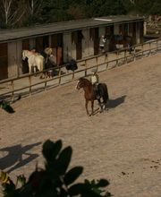 Le Manoir des Cognets image 7