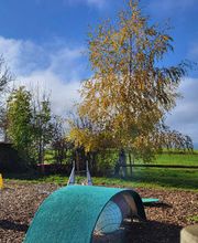 Hundeschule Guggisberg Bild 10