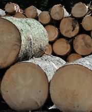 Holz Eschweiler Gmbh Bild 1
