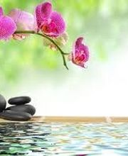 Duplouy Régis image 5