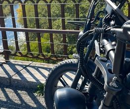 LM FatBikes image 11