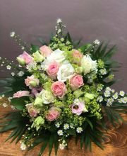 La Primevère image 5