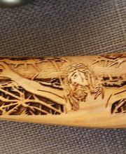 niglo chatrie image 1