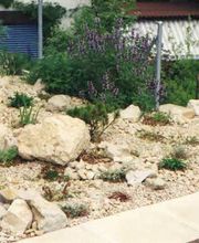 Thomas Gisi Gartenbau GmbH Bild 7