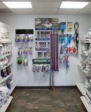 East Side Animal Hospital, A Thrive Pet Healthcare Partner image 4