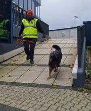 KaNi.Dogs-Olpe Mantrailing meets Fun Bild 5