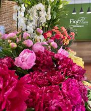 Fior Fleurs image 4