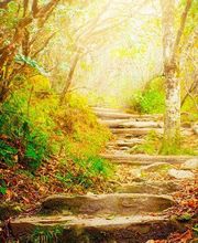 Cabinet Ma2lou - Baudu Karine image 4