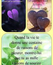 Durand Mireille image 1