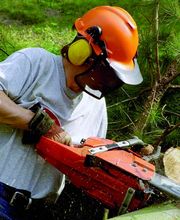 BAUMARBEITEN - Hier klicken!