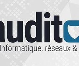 INFAUDIT image 2