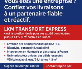 LKM Transport Express image 6