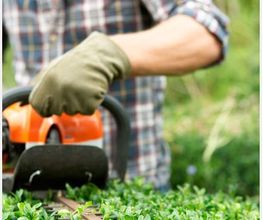 limpiezas-crisol-jardinero-con-cortadora-de-plantas.jpg