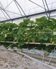 Motoculture de Haute-Normandie - deparrois image 5