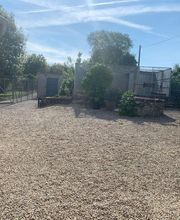 Cani Services image 14