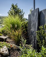 BB Gartengestaltung GmbH Inh. Bernhard Bencivenga Bild 10