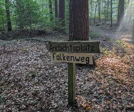 FriedWald Cloppenburg Bild 18