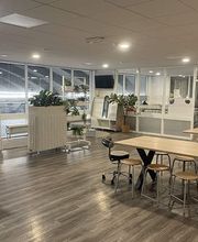 Humankind - BSO Bundernest afbeelding 10