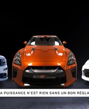 DELTA GEO RACING image 2