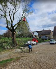 Satory Dylan image 7