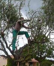 Jardinservice SARL image 19