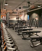 Zona de entrenamiento con mancuernas