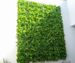 Franzen Moos Wanddesign Bild 7