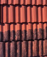 Emco - Florin Coman Bild 10