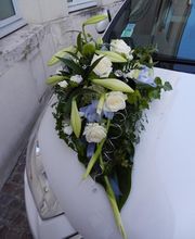 Bouton d'Or image 16