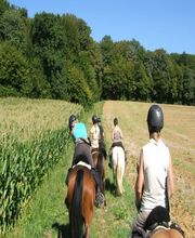 Centre Equestre des Cavalous image 1