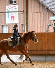 Reitsportzentrum St. Josefen AG Bild 9