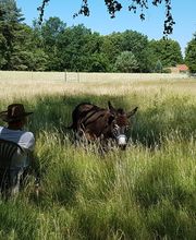 EselWanderHof-Spree-Neiße Bild 3
