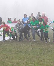 FSGT Comité Val de Marne image 3